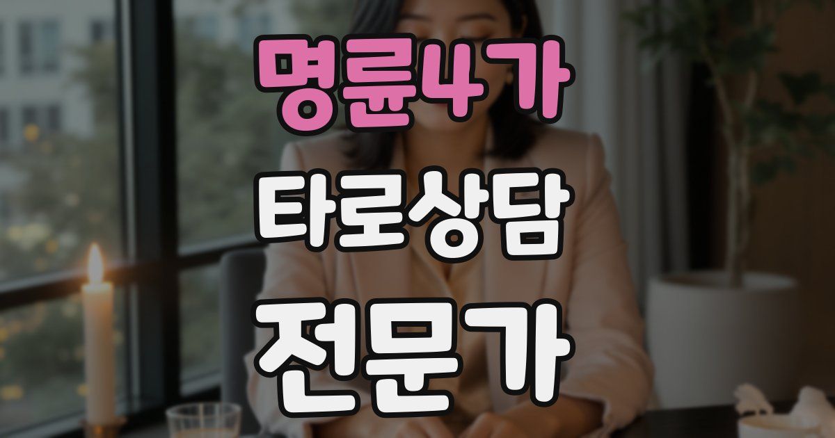 명륜4가 타로상담전문가 자격증