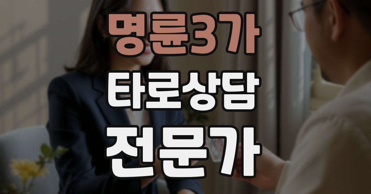명륜3가 타로상담전문가 자격증