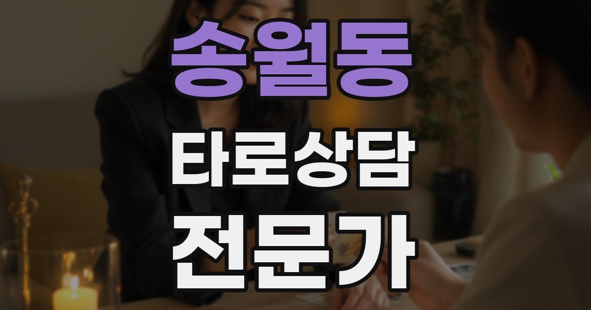 송월동 타로상담전문가 자격증