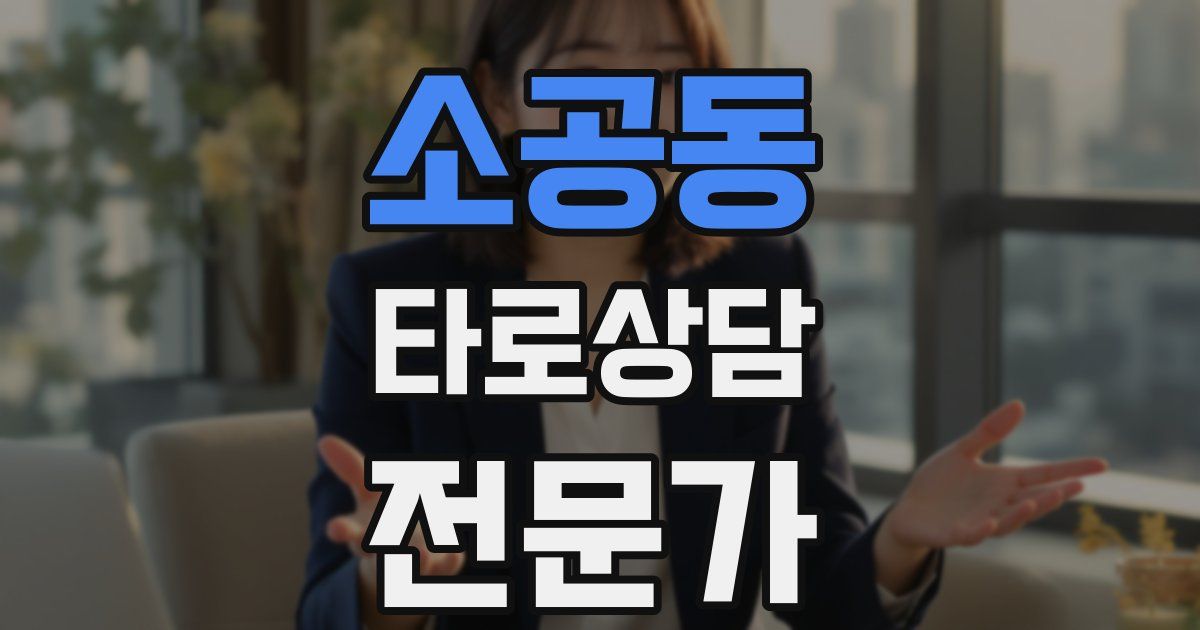 소공동 타로상담전문가 자격증