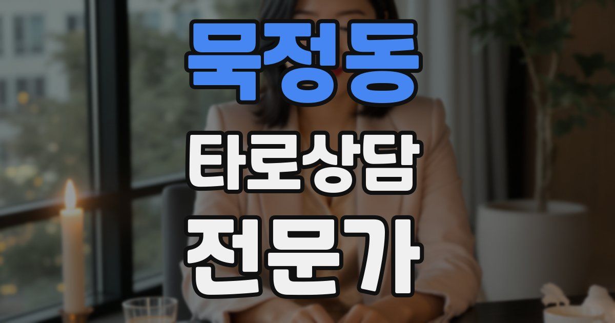 묵정동 타로상담전문가 자격증