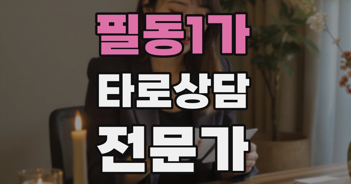 필동1가 타로상담전문가 자격증
