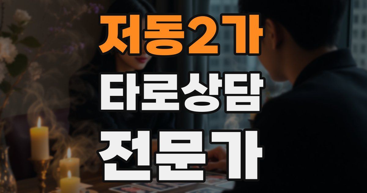 저동2가 타로상담전문가 자격증
