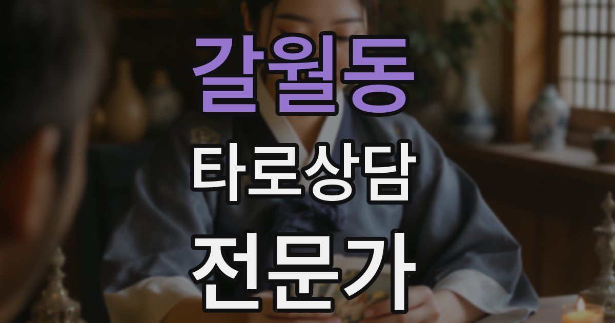 갈월동 타로상담전문가 자격증