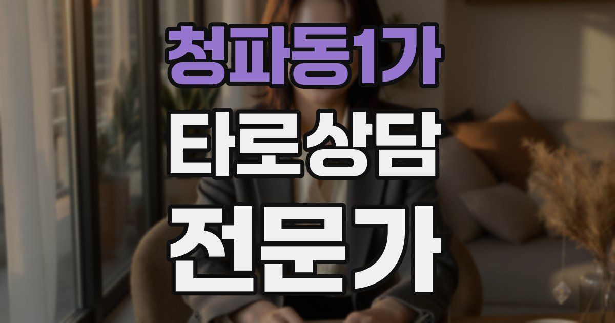청파동1가 타로상담전문가 자격증
