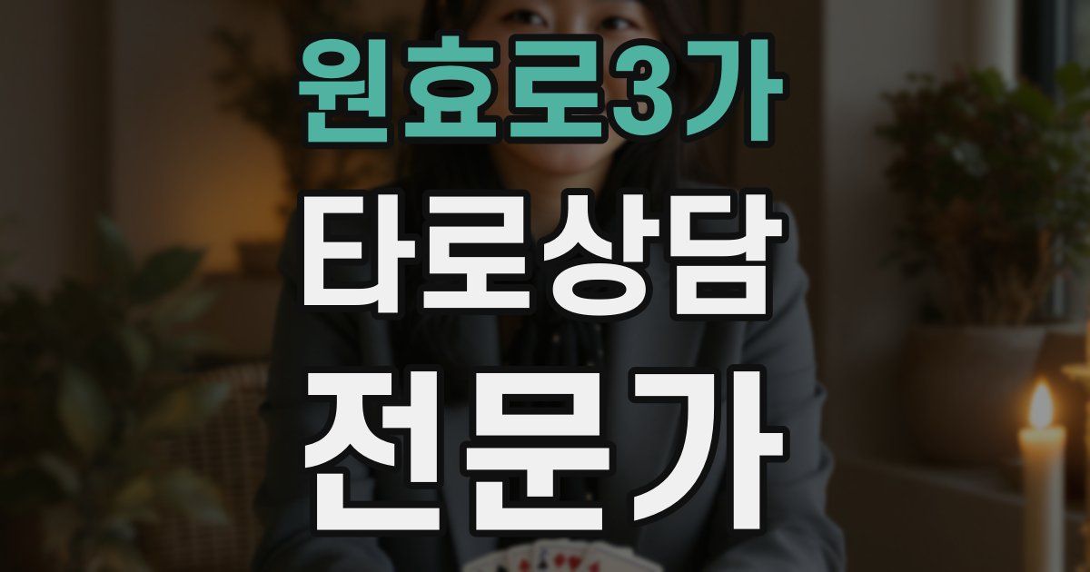 원효로3가 타로상담전문가 자격증