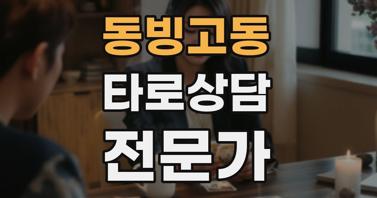 동빙고동 타로상담전문가 자격증