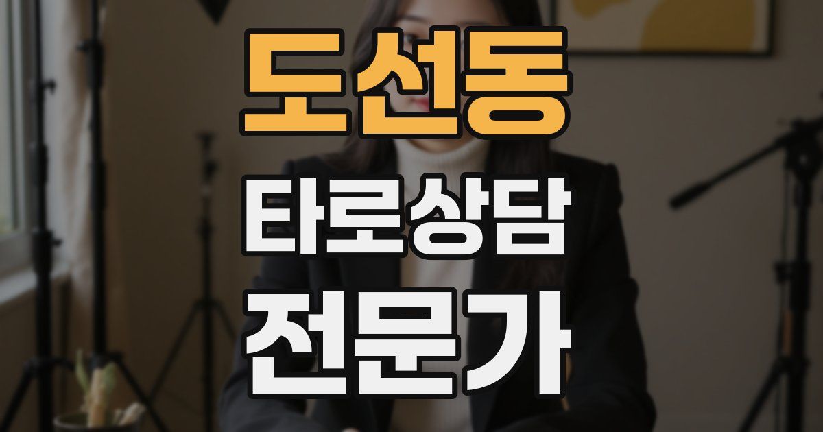 도선동 타로상담전문가 자격증