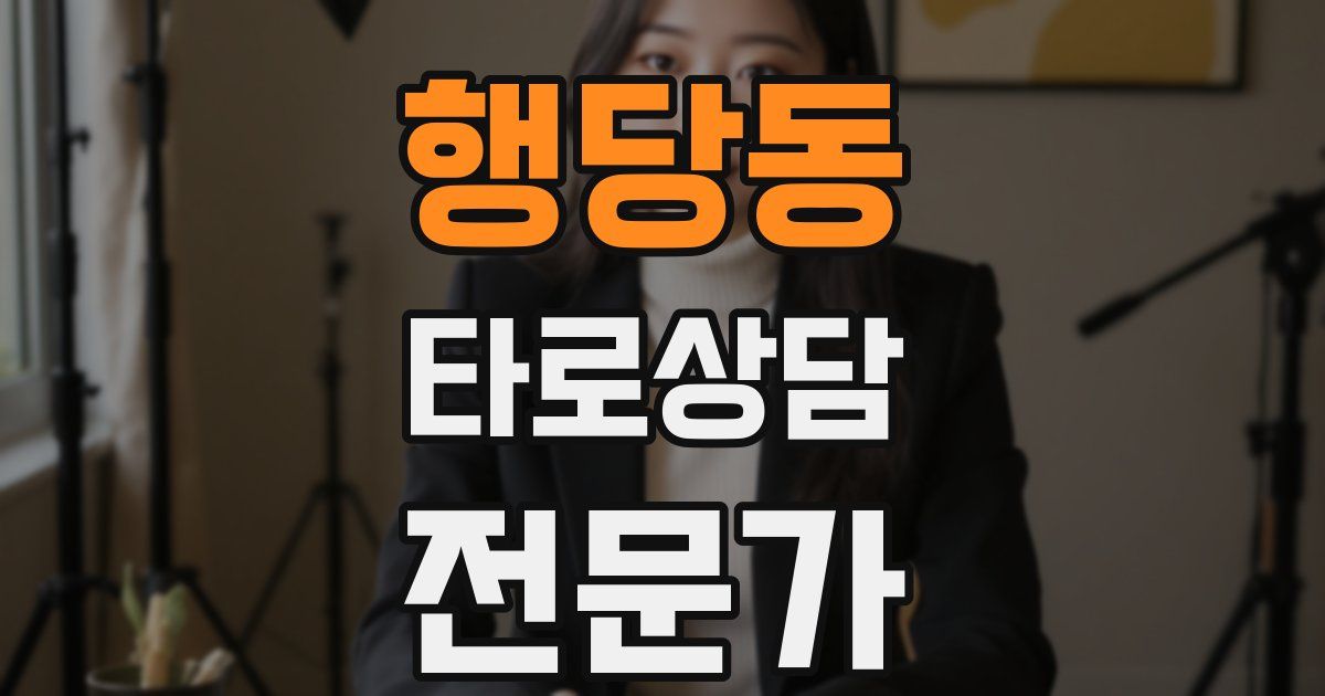 행당동 타로상담전문가 자격증