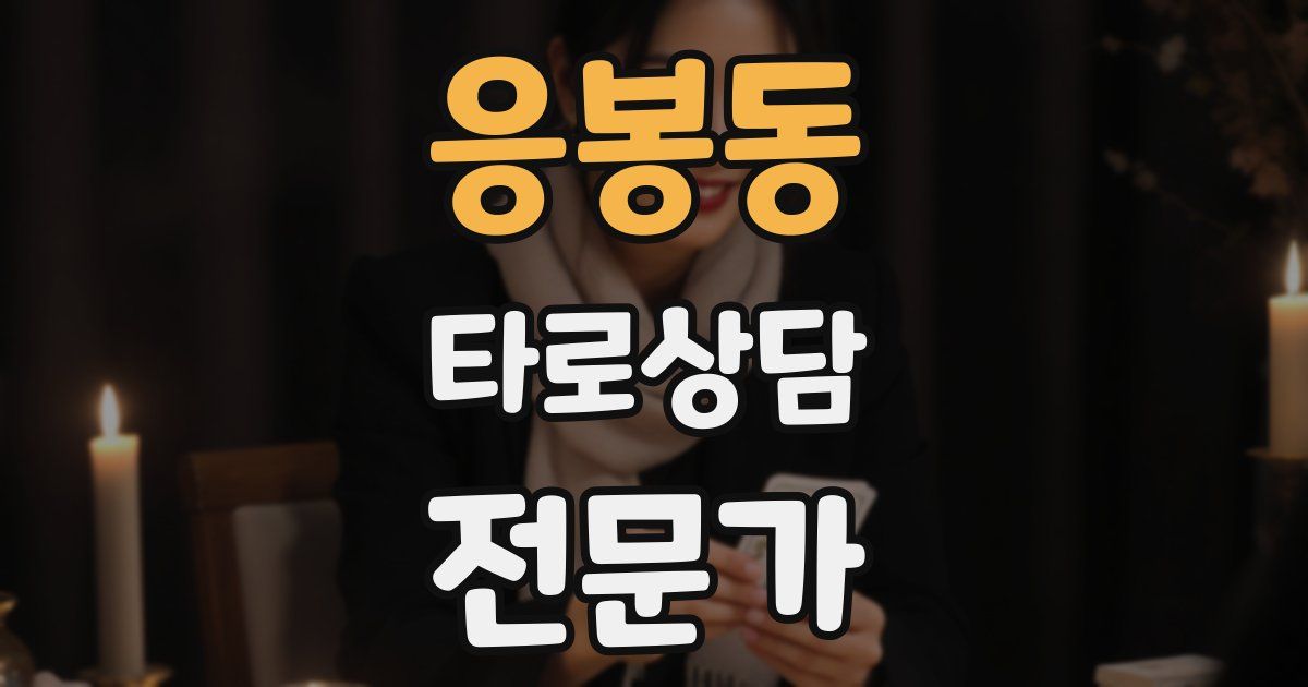 응봉동 타로상담전문가 자격증