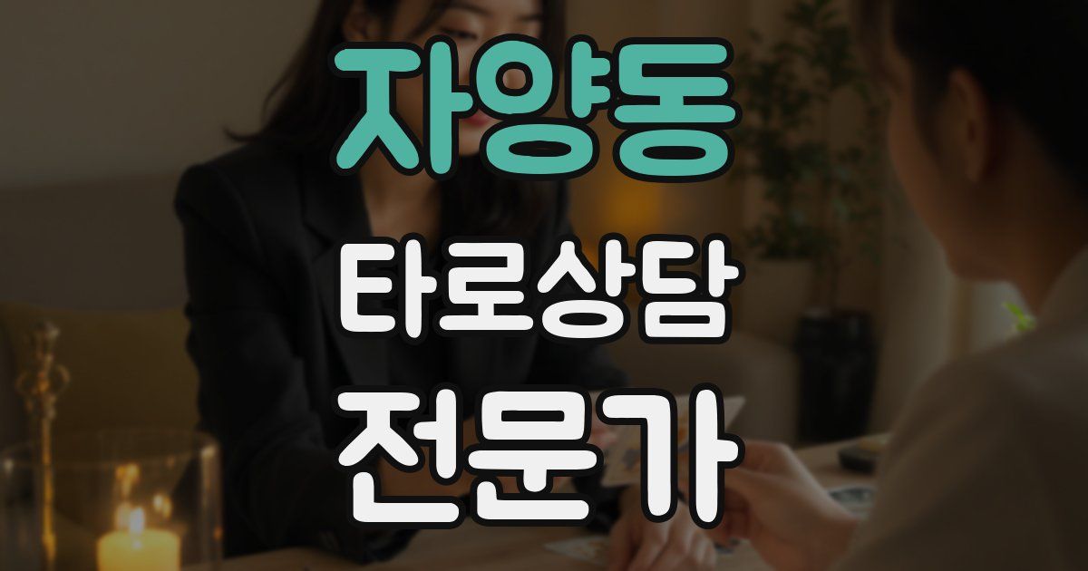 자양동 타로상담전문가 자격증