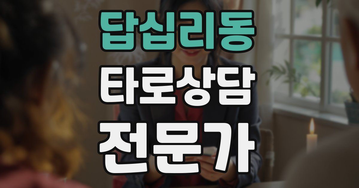 답십리동 타로상담전문가 자격증