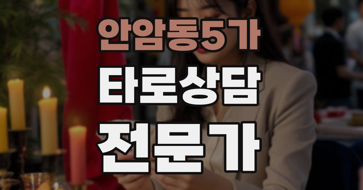 안암동5가 타로상담전문가 자격증