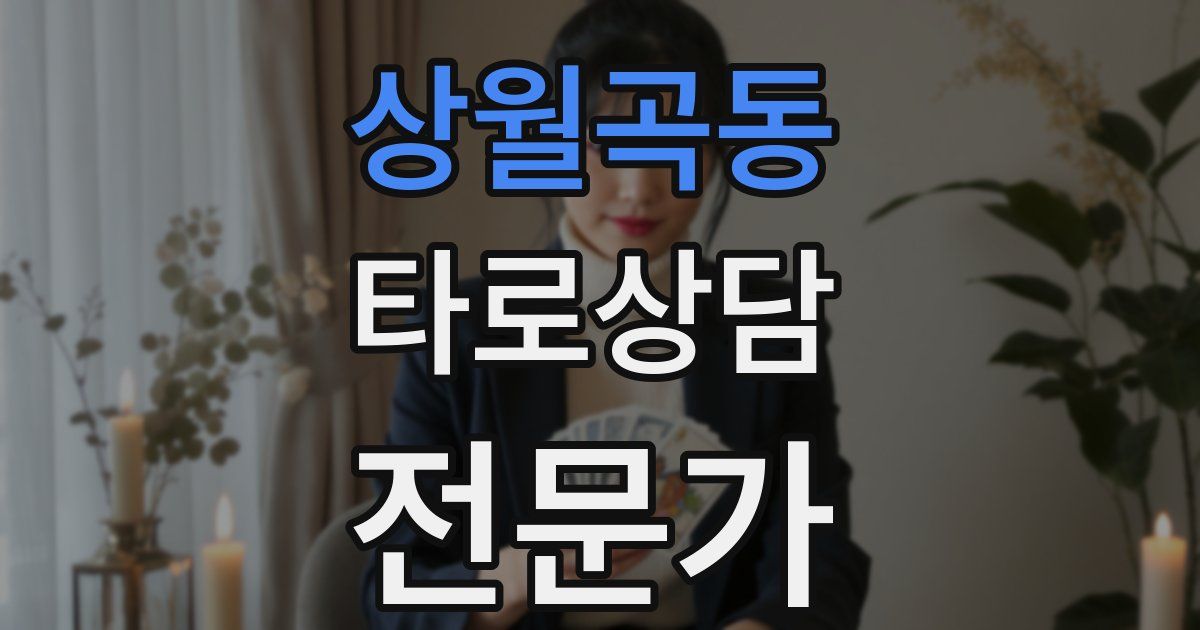 상월곡동 타로상담전문가 자격증
