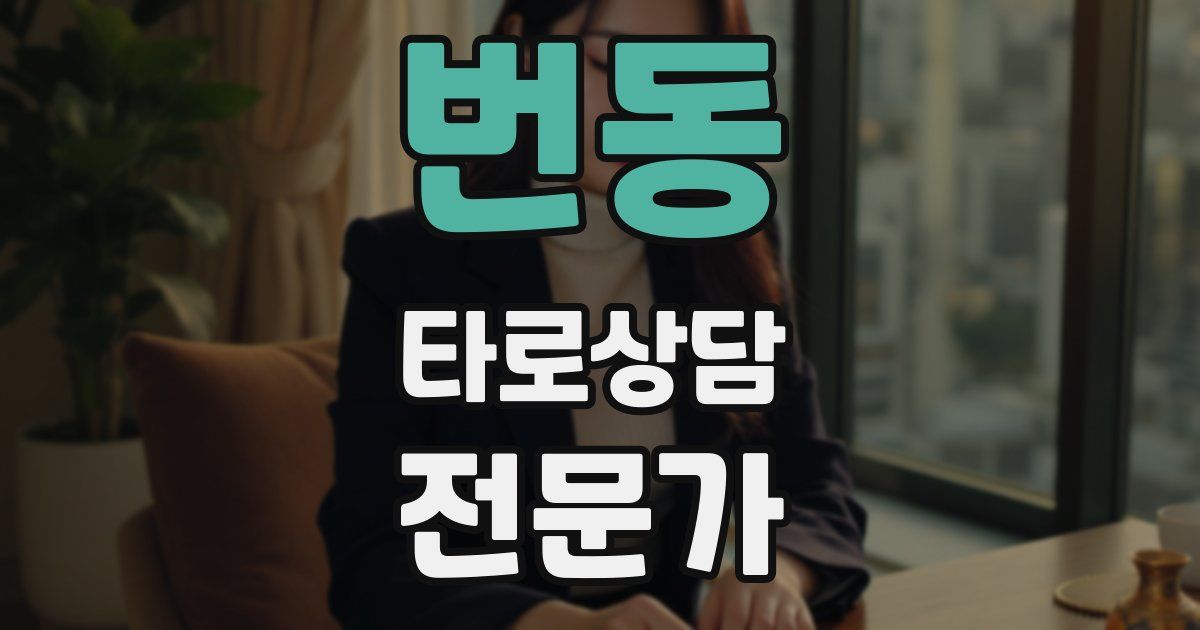 번동 타로상담전문가 자격증