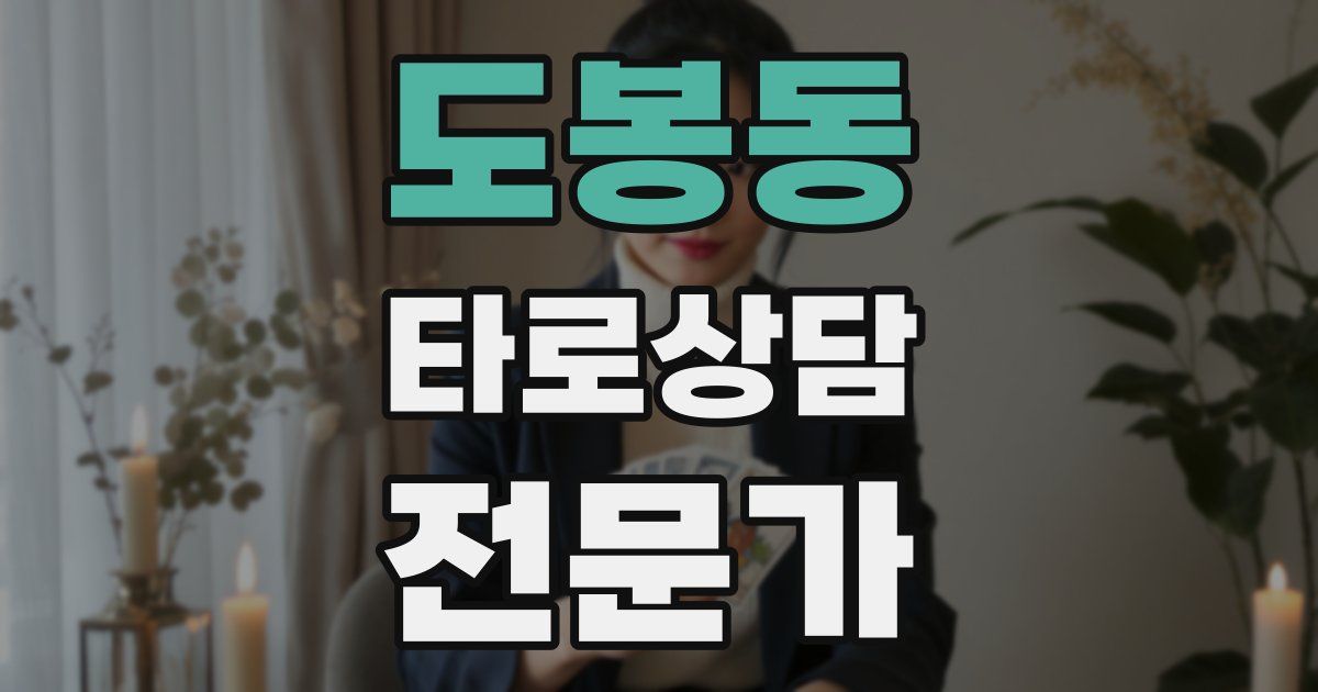 도봉동 타로상담전문가 자격증