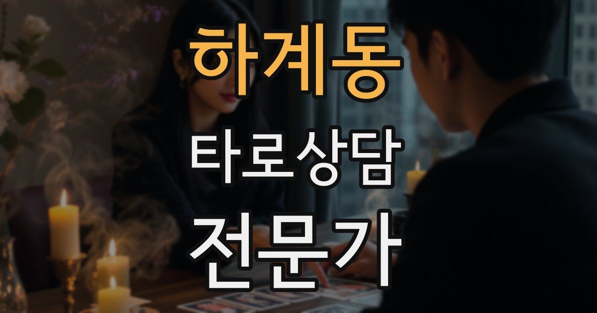 하계동 타로상담전문가 자격증