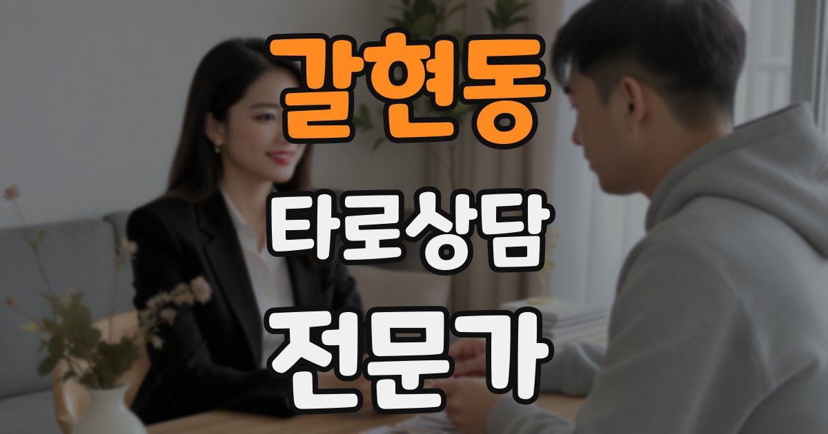 갈현동 타로상담전문가 자격증