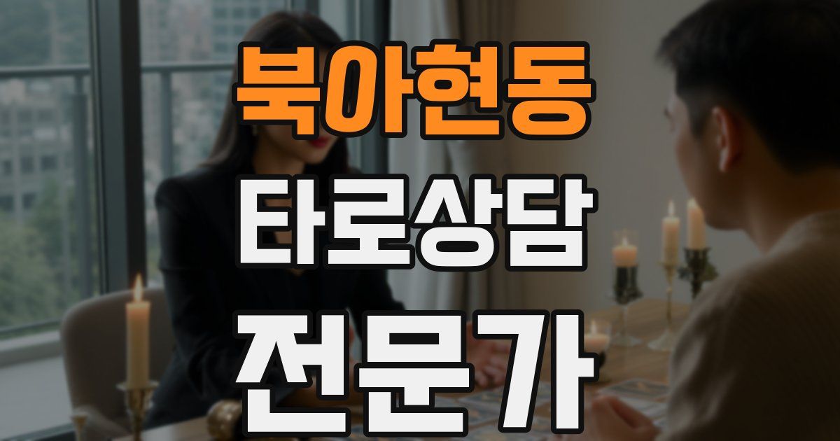 북아현동 타로상담전문가 자격증