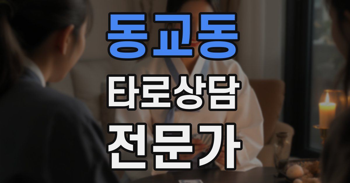 동교동 타로상담전문가 자격증