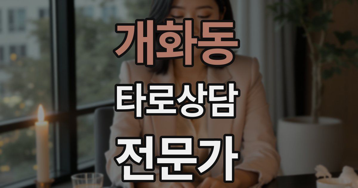 개화동 타로상담전문가 자격증