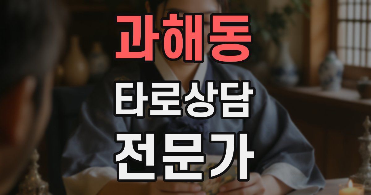 과해동 타로상담전문가 자격증