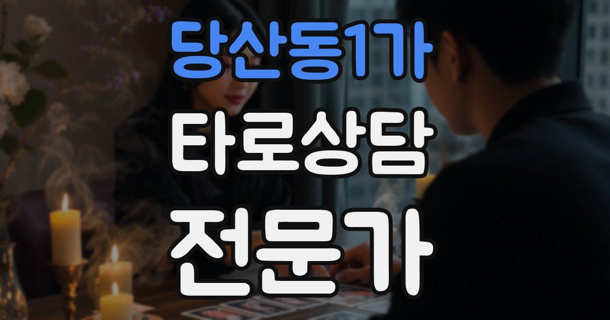 당산동1가 타로상담전문가 자격증