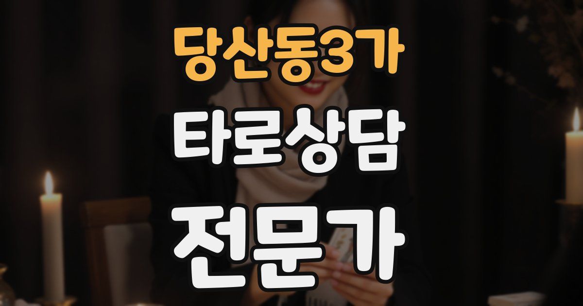당산동3가 타로상담전문가 자격증
