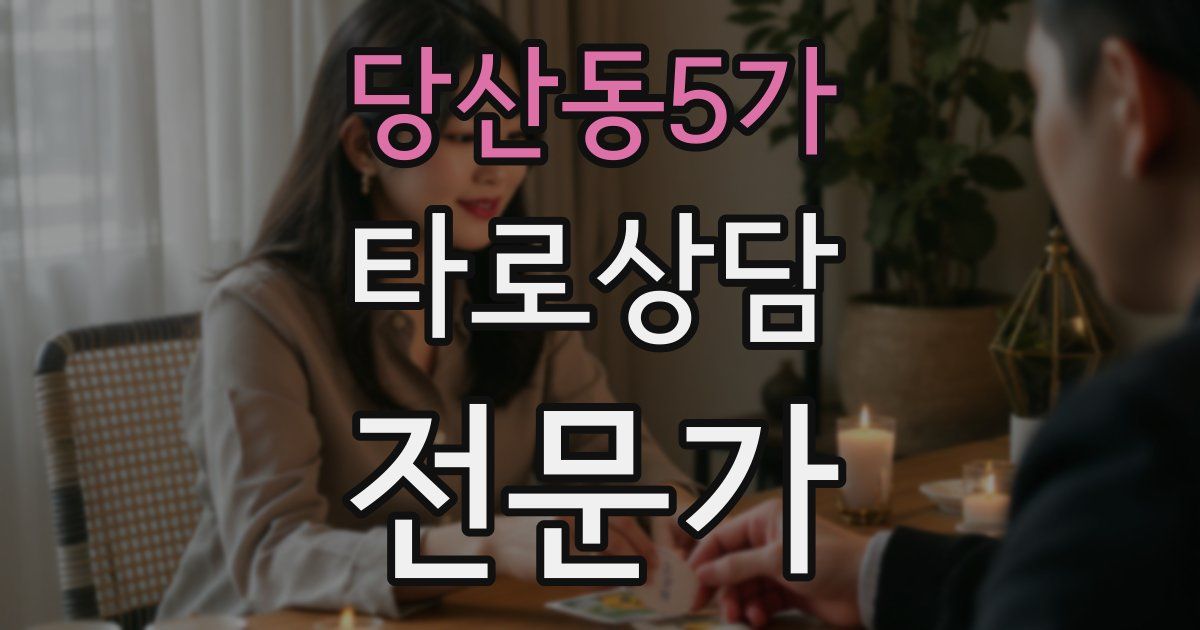 당산동5가 타로상담전문가 자격증