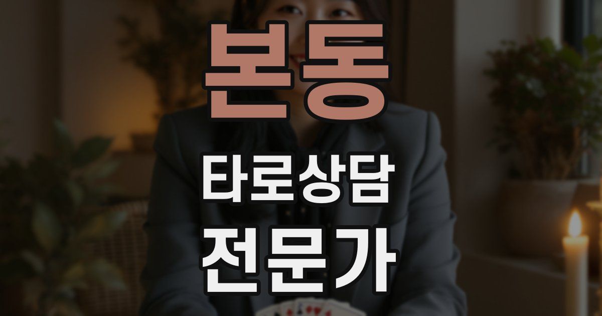 본동 타로상담전문가 자격증