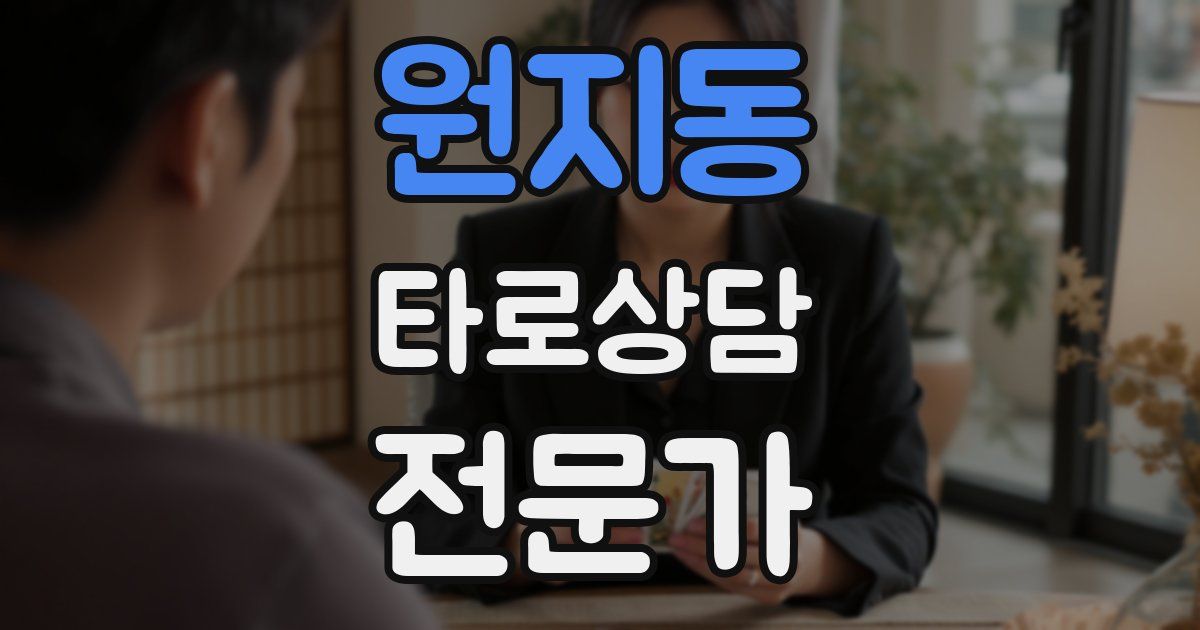 원지동 타로상담전문가 자격증