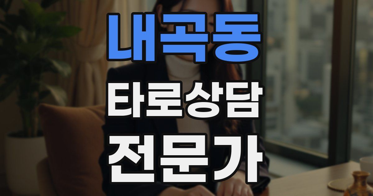 내곡동 타로상담전문가 자격증