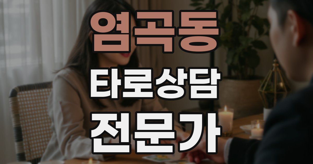 염곡동 타로상담전문가 자격증