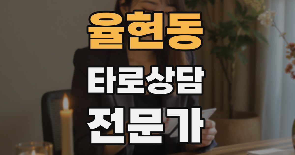 율현동 타로상담전문가 자격증