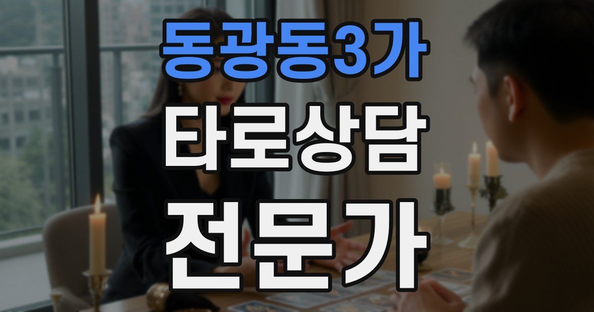 동광동3가 타로상담전문가 자격증