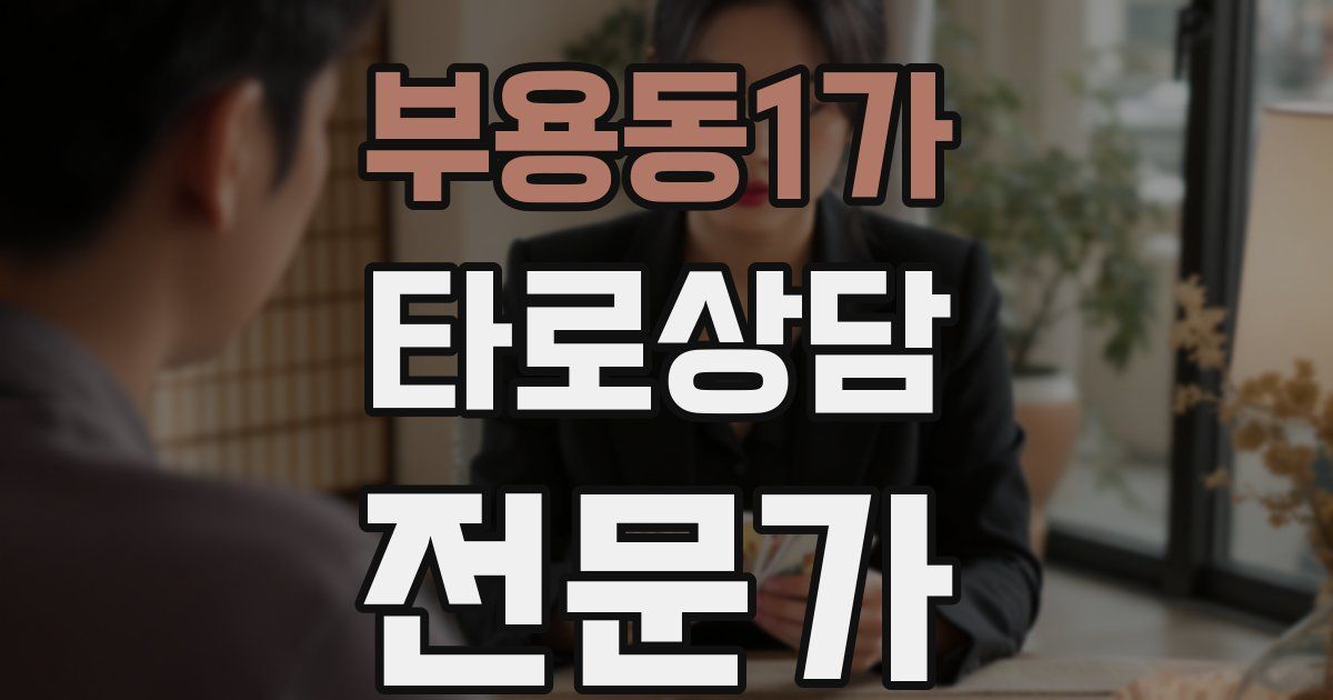 부용동1가 타로상담전문가 자격증