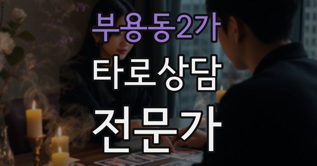 부용동2가 타로상담전문가 자격증