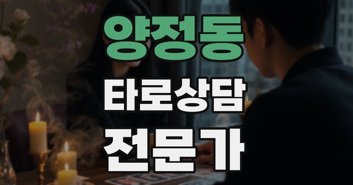 양정동 타로상담전문가 자격증