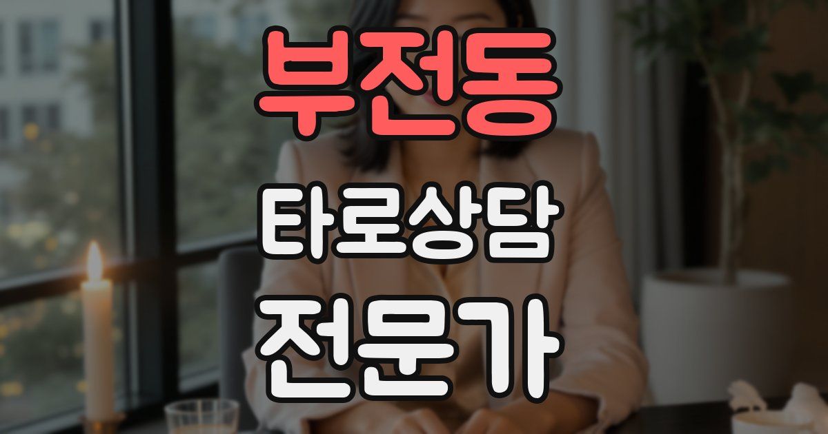 부전동 타로상담전문가 자격증