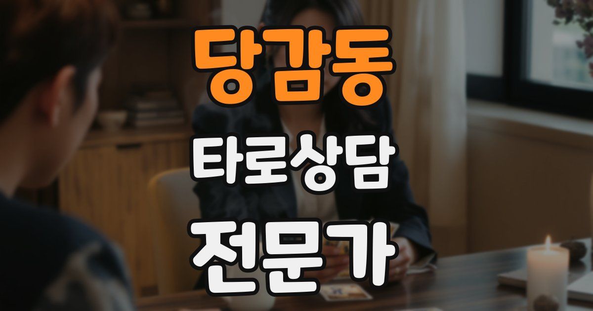 당감동 타로상담전문가 자격증