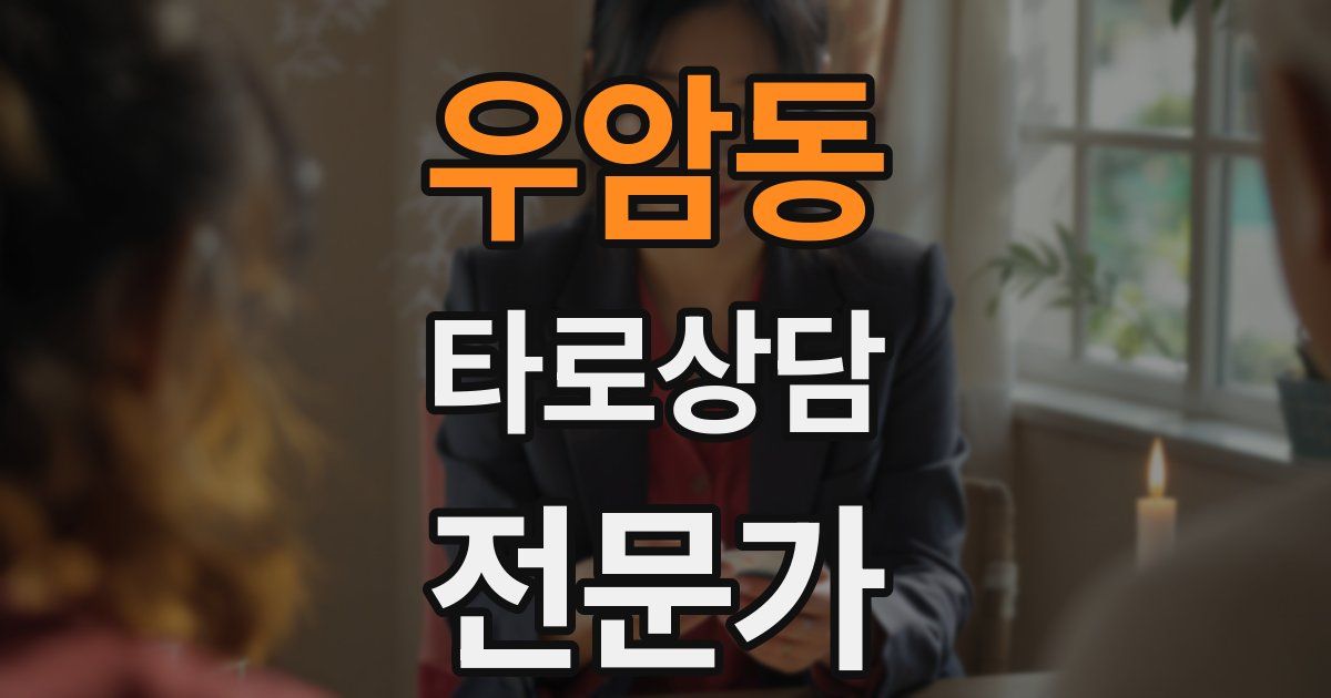 우암동 타로상담전문가 자격증