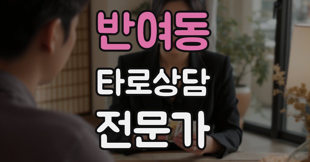 반여동 타로상담전문가 자격증