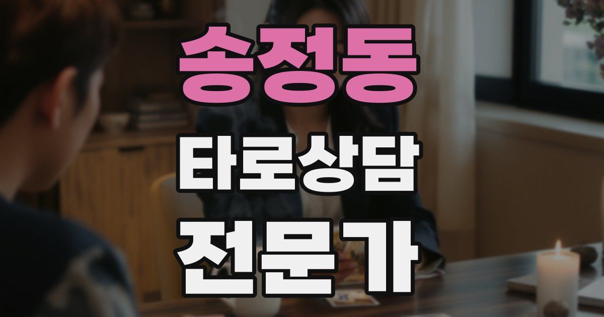 송정동 타로상담전문가 자격증