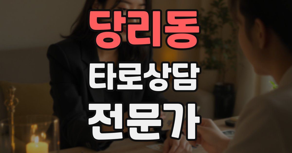 당리동 타로상담전문가 자격증