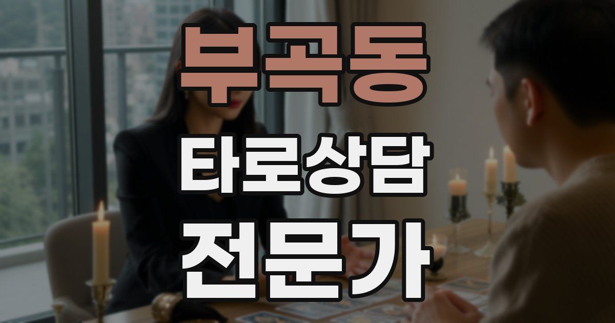 부곡동 타로상담전문가 자격증