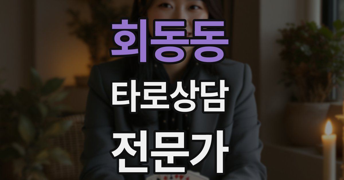 회동동 타로상담전문가 자격증