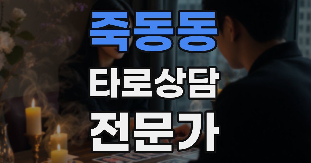 죽동동 타로상담전문가 자격증