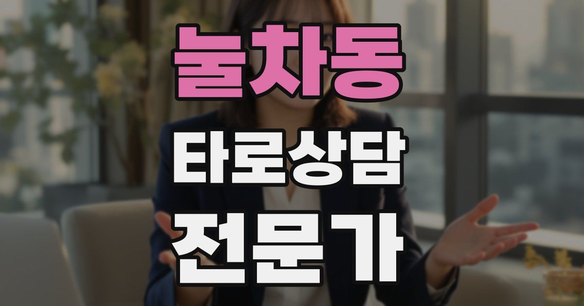 눌차동 타로상담전문가 자격증