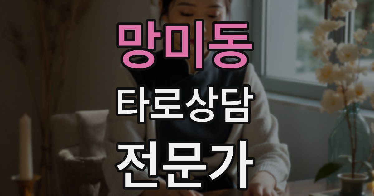 망미동 타로상담전문가 자격증