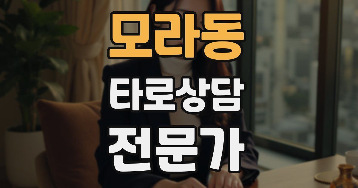 모라동 타로상담전문가 자격증